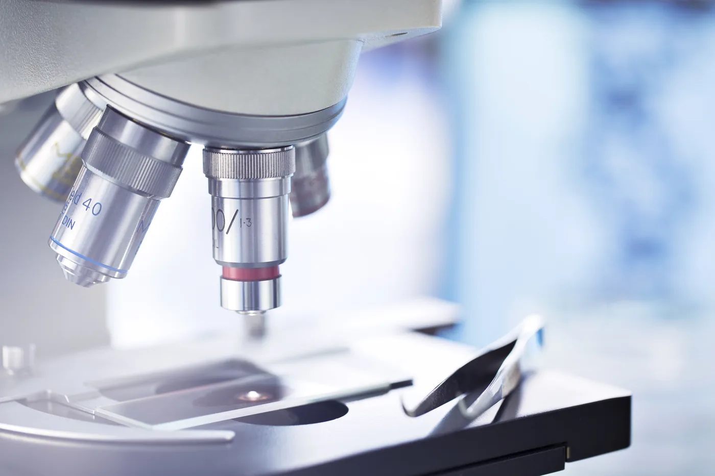Microbiology Update